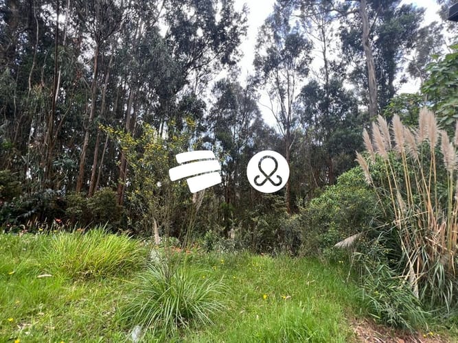 Lote en venta en Fusca, Chía, 3096 m² · foto 2 de 8