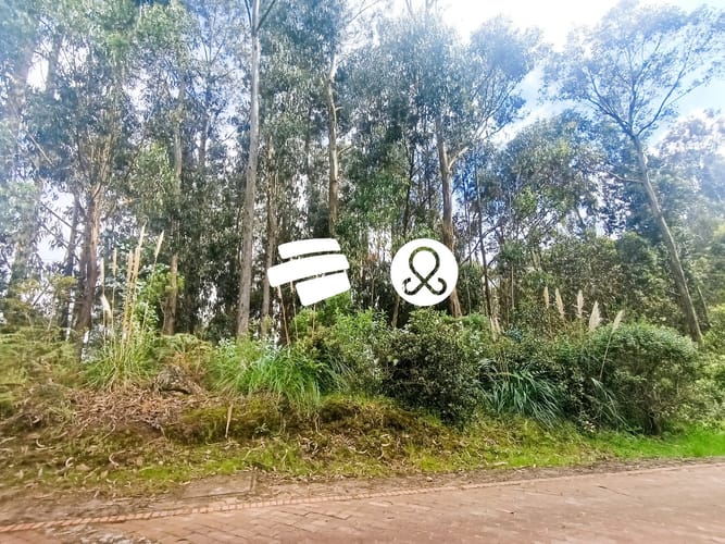 Lote en venta en Fusca, Chía, 3096 m² · foto 5 de 8
