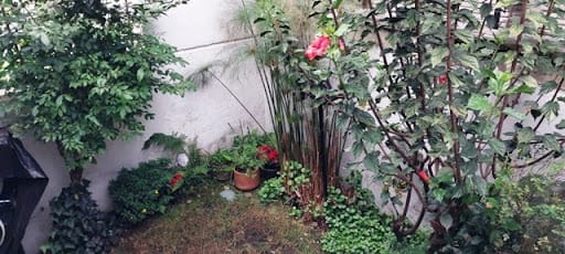 Casa de 4 alcobas en venta en Polo Club, Bogotá, 365 m² · foto 20 de 20