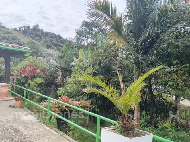 Finca en arriendo en El Carmen De Viboral, El Carmen de Viboral, 236 m² · foto 11 de 13