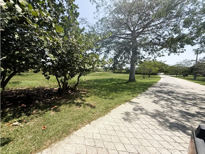 Lote en venta en Barú, Cartagena, 988 m² · foto 9 de 24