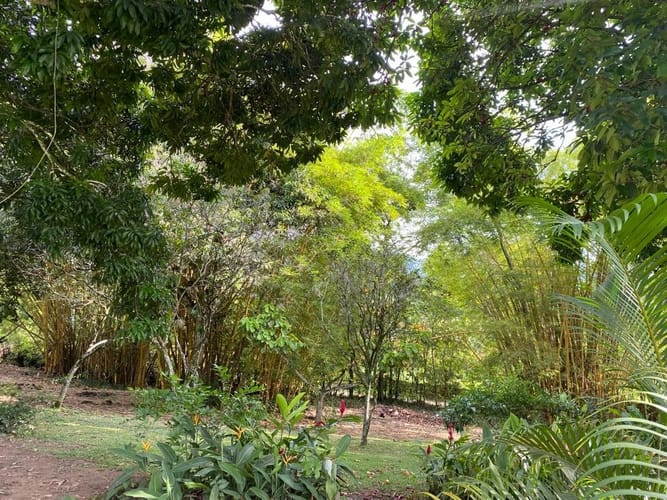 Finca en venta en El Totumo, Copacabana, 212 m² · foto 2 de 5