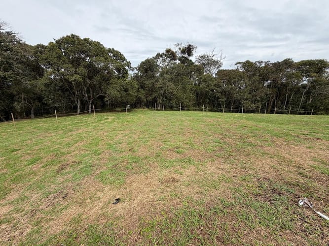 Lote en venta en La Ceja, 1210 m² · foto 2 de 13