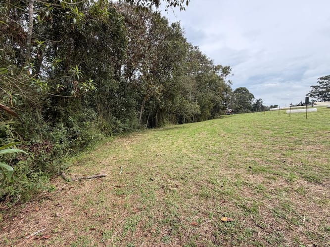 Lote en venta en La Ceja, 1210 m² · foto 6 de 13