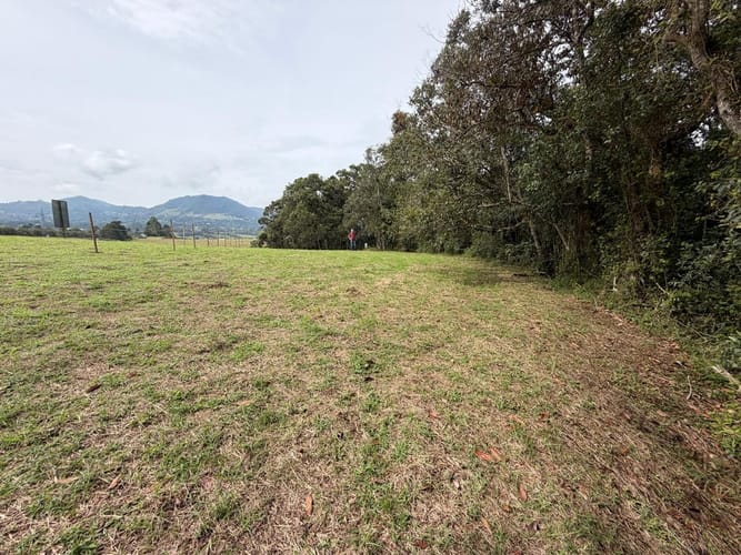 Lote en venta en La Ceja, 1210 m² · foto 8 de 13