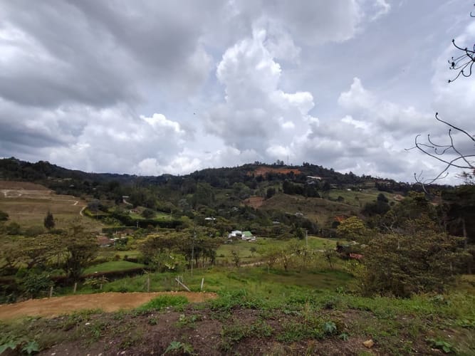 Finca en arriendo en Sajonia, Rionegro, 110 m² · foto 18 de 18