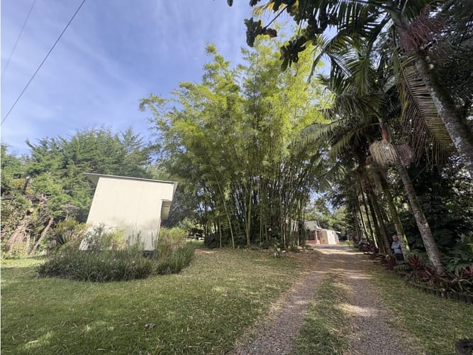 Lote en venta en Centro, Rionegro, 7800 m² · foto 6 de 19