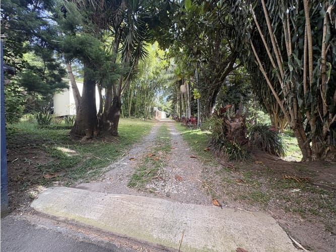 Lote en venta en Centro, Rionegro, 7800 m² · foto 7 de 19