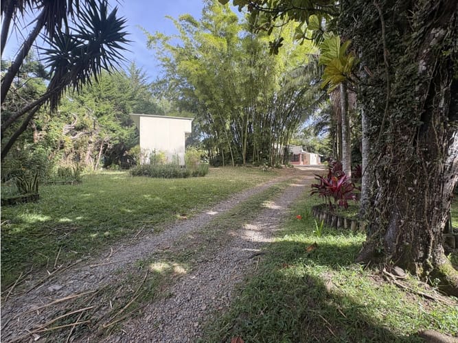 Lote en venta en Centro, Rionegro, 7800 m² · foto 8 de 19
