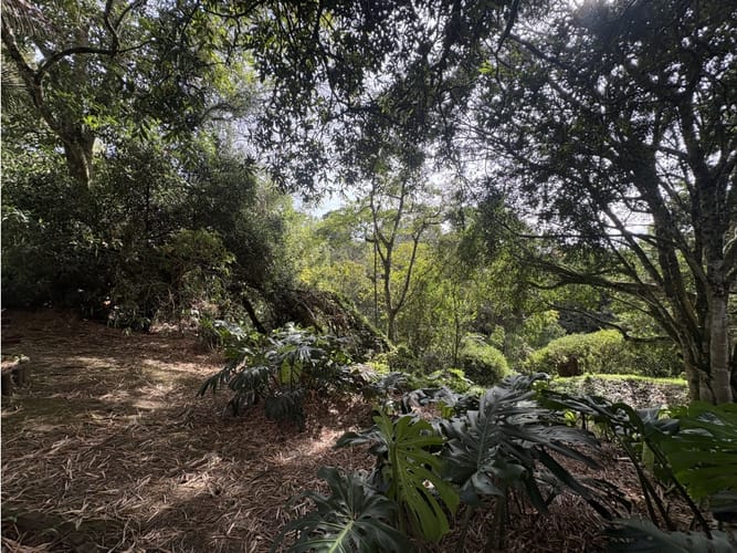 Lote en venta en Centro, Rionegro, 7800 m² · foto 11 de 19