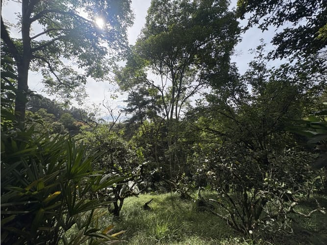 Lote en venta en Centro, Rionegro, 7800 m² · foto 13 de 19