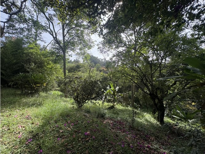 Lote en venta en Centro, Rionegro, 7800 m² · foto 14 de 19