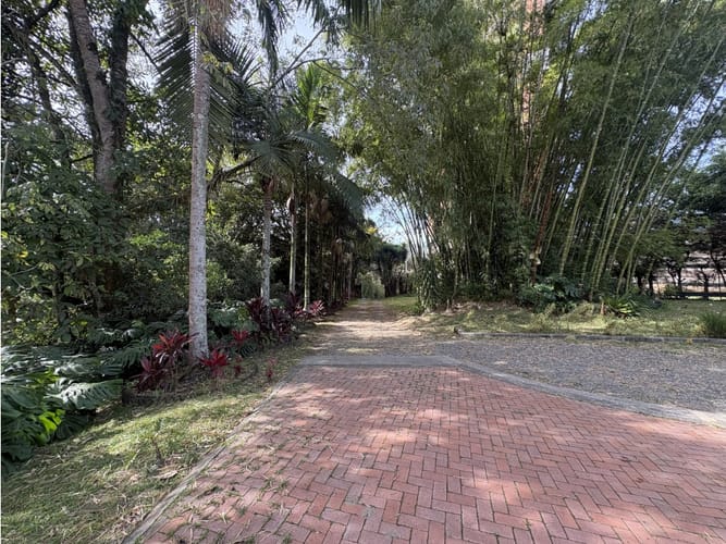 Lote en venta en Centro, Rionegro, 7800 m² · foto 15 de 19