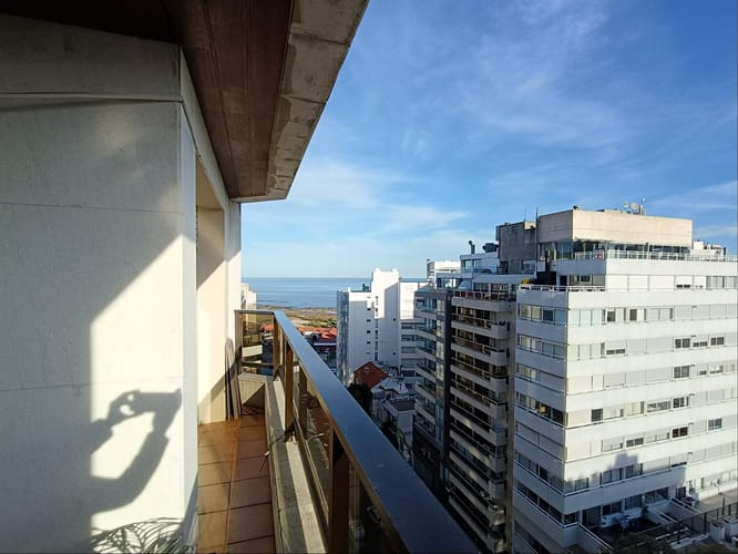Foto 3 de 14