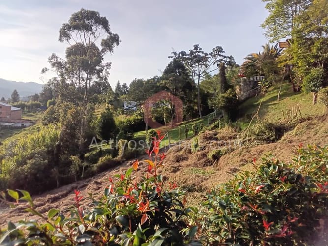 Casa de 5 alcobas en arriendo en La Clara, Guarne · foto 21 de 24