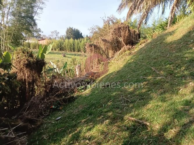 Casa de 5 alcobas en arriendo en La Clara, Guarne · foto 24 de 24