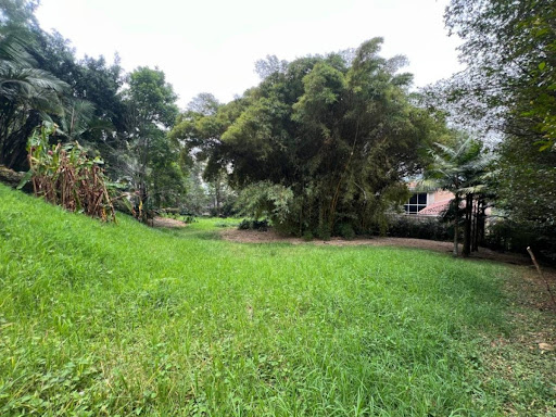 Billede 1 af ejendommen annonceret i Medellín