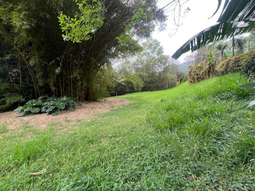 Billede 2 af ejendommen annonceret i Medellín