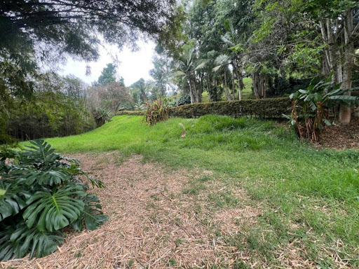 Billede 3 af ejendommen annonceret i Medellín