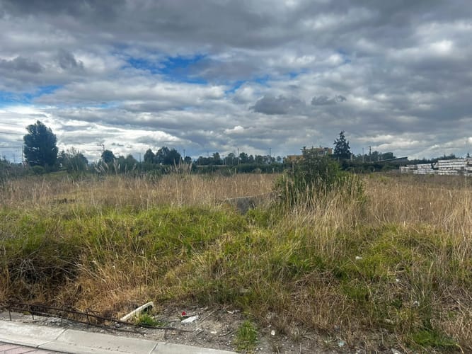 Lote en arriendo en Cartagenita, Mosquera, 4000 m² · foto 4 de 6