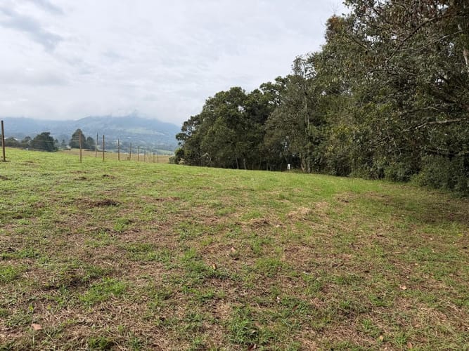 Lote en venta en La Ceja, 1250 m² · foto 3 de 9