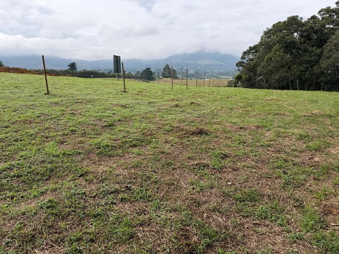 Lote en venta en La Ceja, 1250 m² · foto 5 de 9