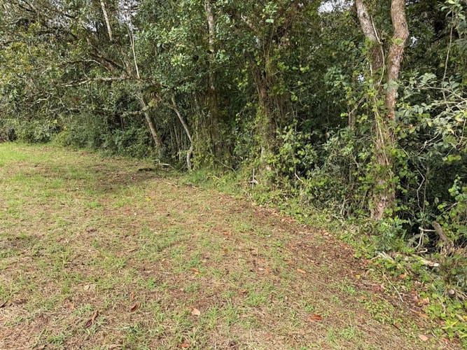 Lote en venta en La Ceja, 1250 m² · foto 6 de 9