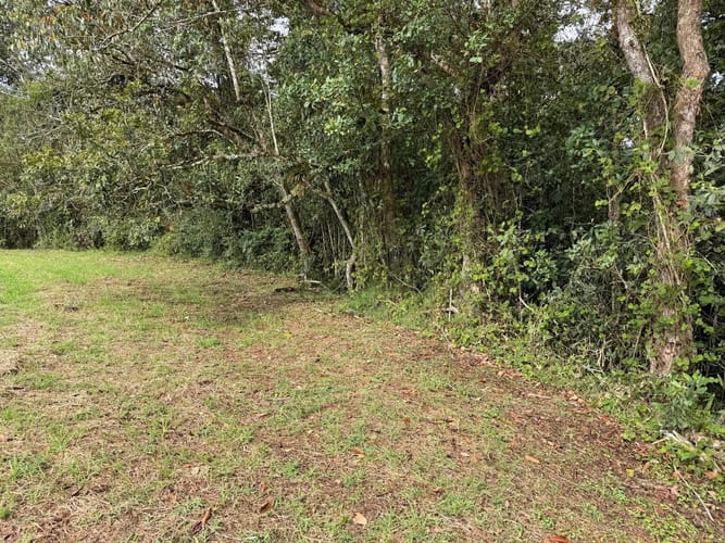 Lote en venta en La Ceja, 1250 m² · foto 7 de 9