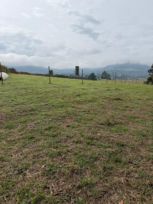 Lote en venta en La Ceja, 1250 m² · foto 9 de 9