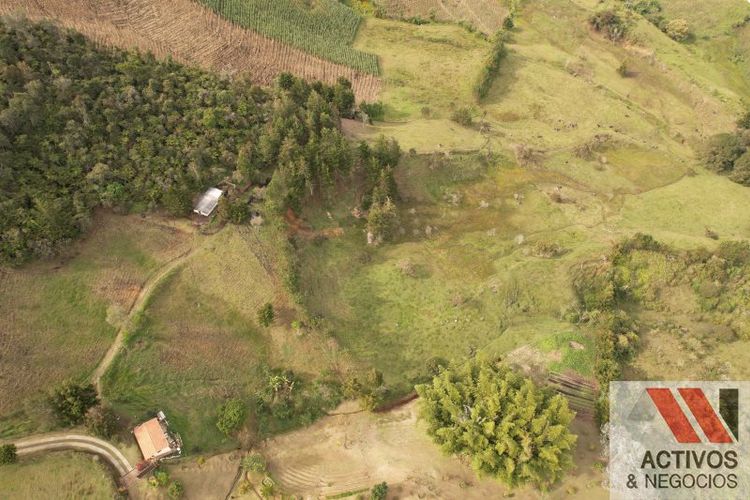 Finca en venta en La Pe�A, Marinilla, 76907 m² · foto 14 de 24