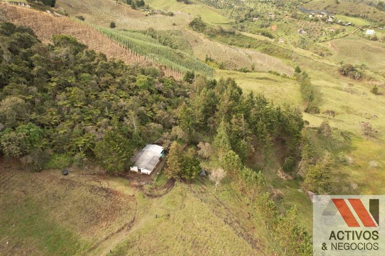 Finca en venta en La Pe�A, Marinilla, 76907 m² · foto 21 de 24