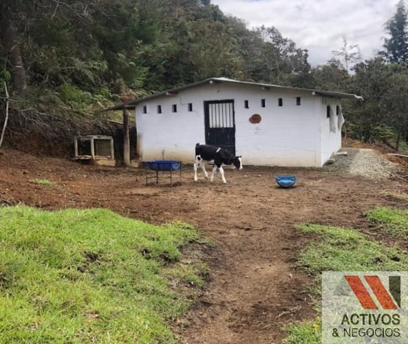 Finca en venta en La Pe�A, Marinilla, 76907 m² · foto 23 de 24