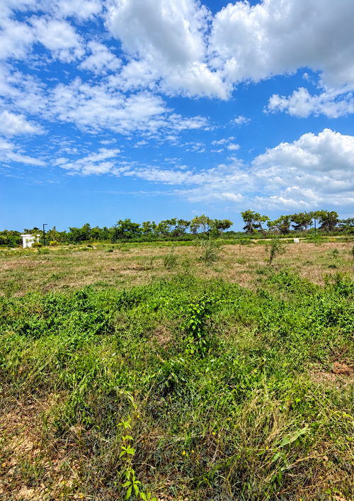 Lote en venta en Barcelona De Indias, Cartagena, 600 m² · foto 3 de 3