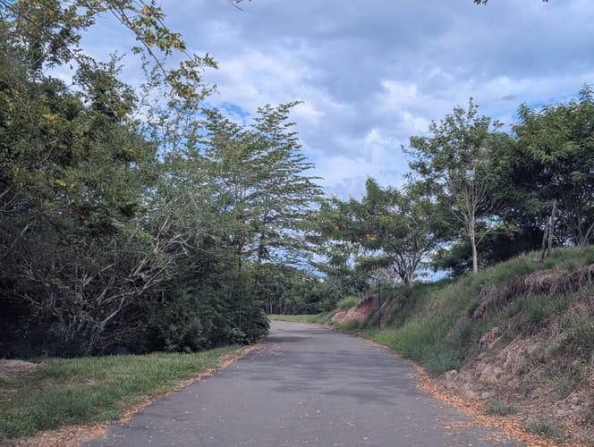 Lote en venta en Puerto Caldas, Pereira, 10000 m² · foto 3 de 9