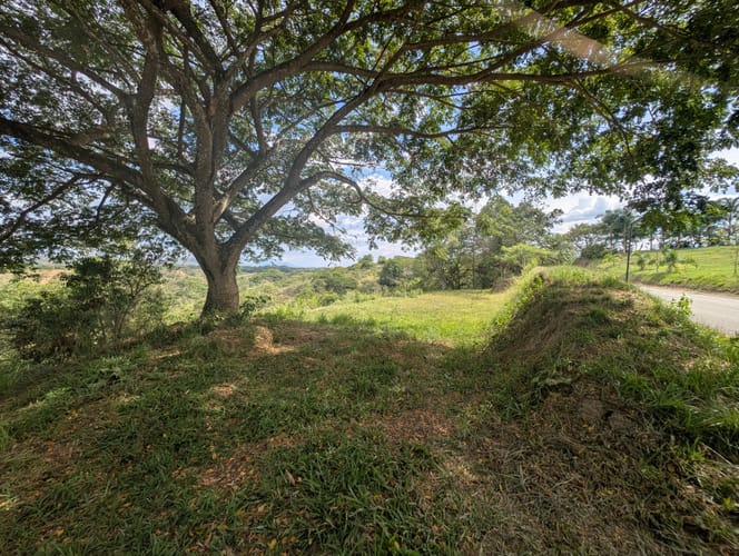 Lote en venta en Puerto Caldas, Pereira, 10000 m² · foto 9 de 9
