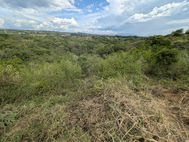 Lote en venta en Puerto Caldas, Pereira, 10000 m² · foto 6 de 9