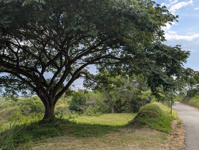 Lote en venta en Puerto Caldas, Pereira, 10000 m² · foto 7 de 9
