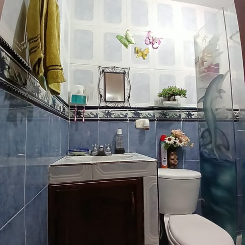 Casa de 10 alcobas en venta en Ulpiano Lloreda, Candelaria, 255 m² · foto 23 de 24