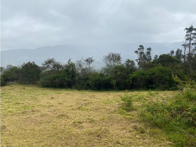 Lote en venta en San Rafael, La Calera · foto 4 de 4