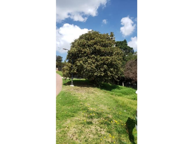 Lote en venta en San Gabriel, Sopó, 2200 m² · foto 7 de 8