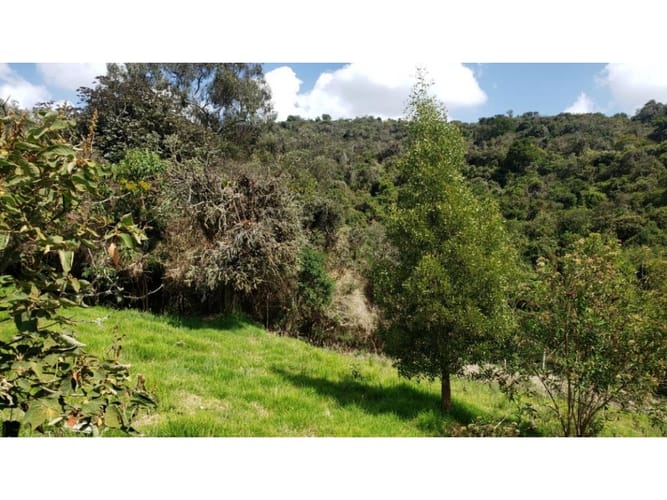 Lote en venta en San Gabriel, Sopó, 2200 m² · foto 8 de 8