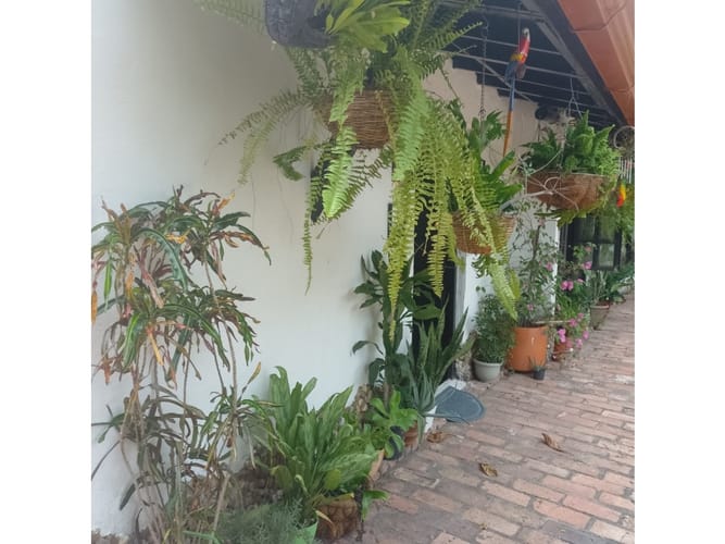 Casa de 3 alcobas en venta en Portal De Alcatraz, Girardot, 67 m² · foto 4 de 15