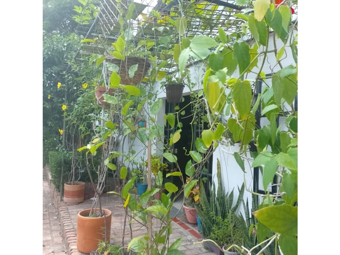Casa de 3 alcobas en venta en Portal De Alcatraz, Girardot, 67 m² · foto 6 de 15