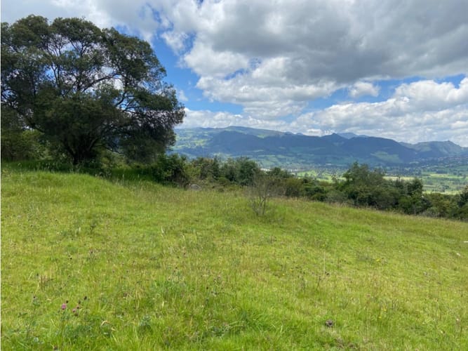 Lote en venta en San Rafael, La Calera, 2504 m² · foto 2 de 15