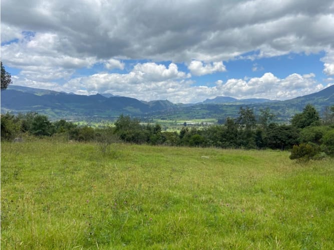 Lote en venta en San Rafael, La Calera, 2504 m² · foto 3 de 15