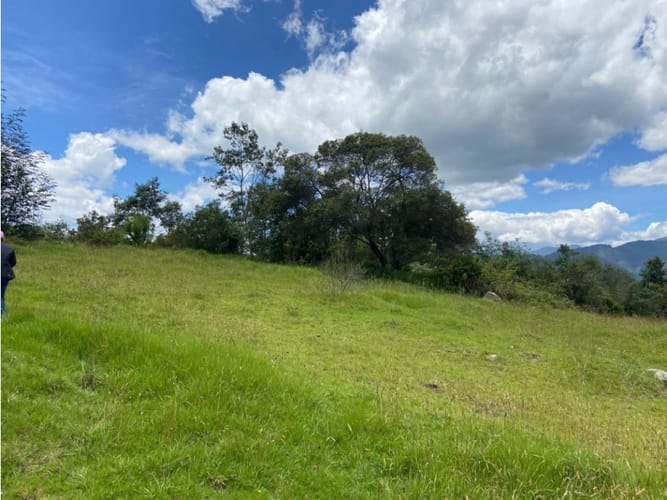 Lote en venta en San Rafael, La Calera, 2504 m² · foto 4 de 15