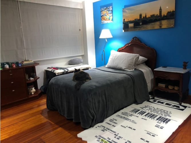 Apartamento de 3 alcobas en venta en El Bagazal, Bogotá, 252 m² · foto 19 de 24