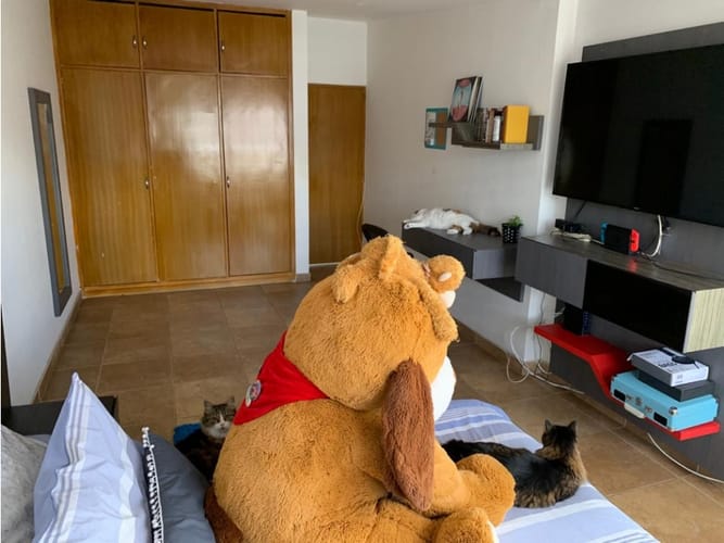 Casa de 4 alcobas en venta en La Cabrera, Bogotá, 490 m² · foto 10 de 24