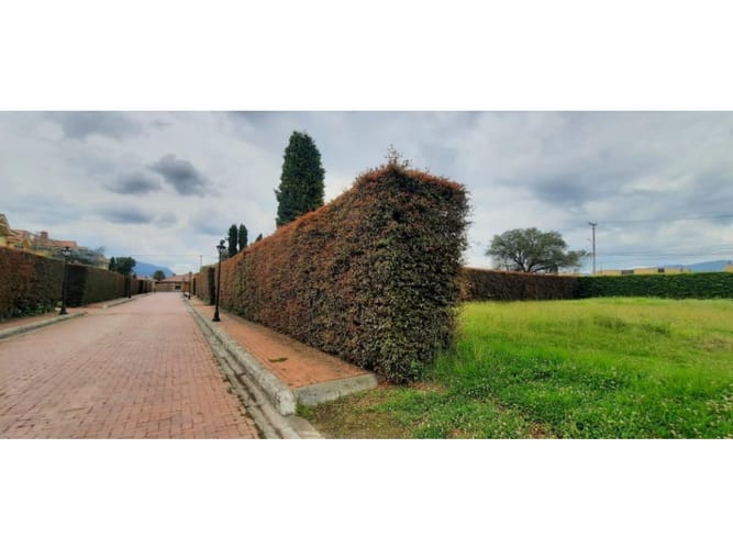Lote en venta en Canelon, Cajicá, 903 m² · foto 4 de 7