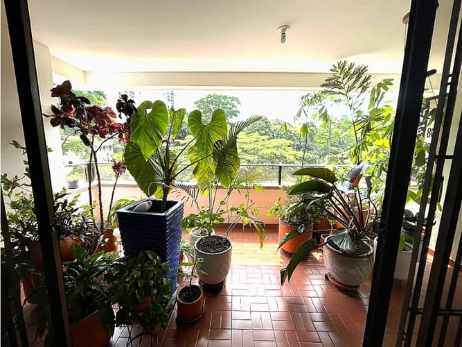 Apartamento de 4 alcobas en venta en Santa Teresita, Cali, 235 m² · foto 8 de 21
